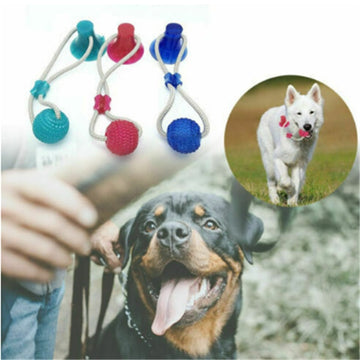 Pet Interactive Suction Cup  Elastic Rope