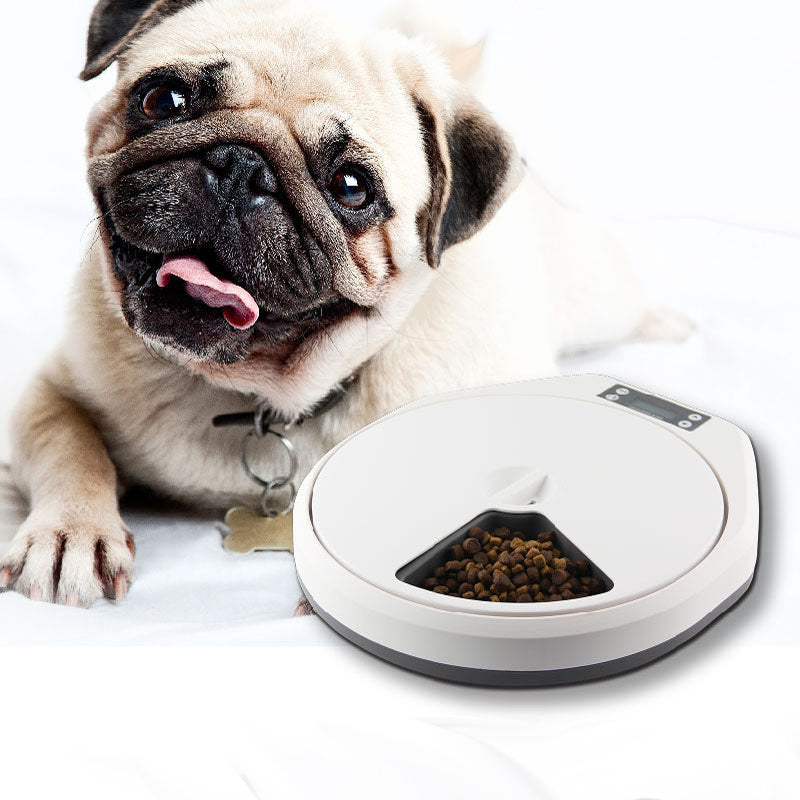 Multi-Grid Pet Automatic Feeder