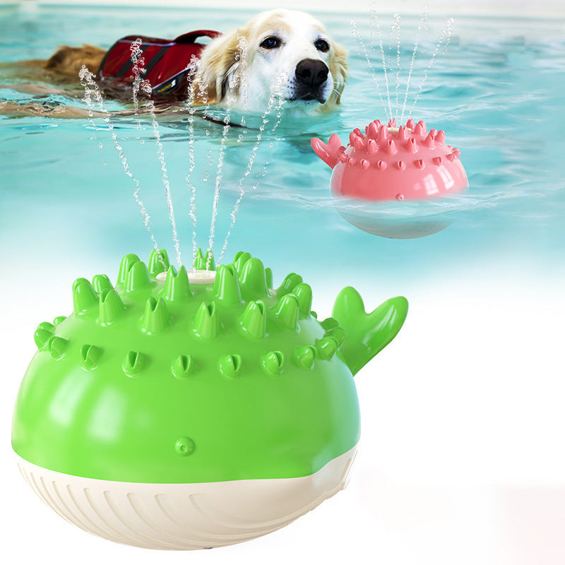 Electric Summer Water Floating Dog Toy