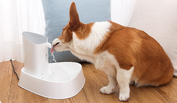 Smart Pet Water Dispenser