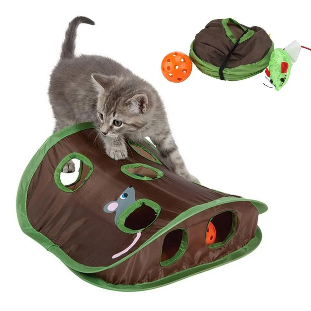 Mouse Hunt Pop-up Toy