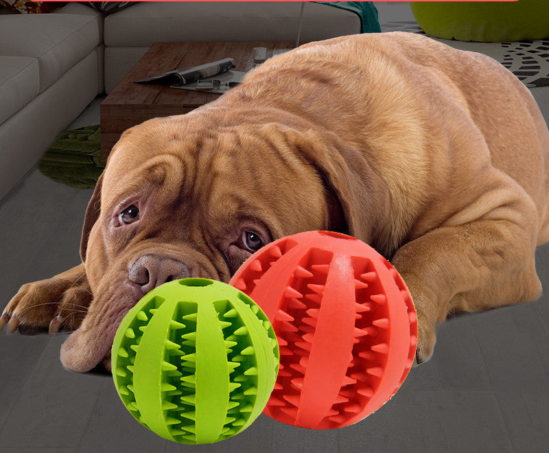 Dog Interactive Rubber Ball