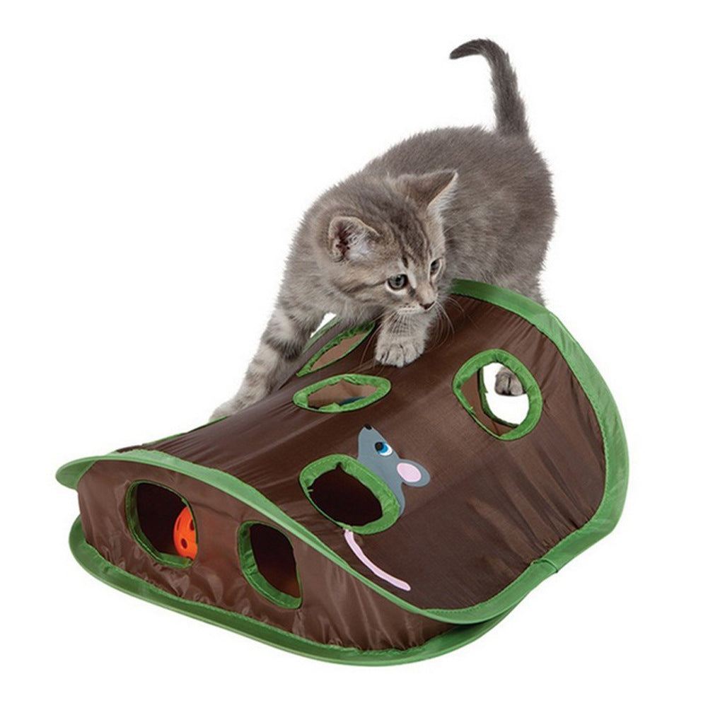 Mouse Hunt Pop-up Toy