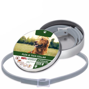 Anti Flea Pet Collar